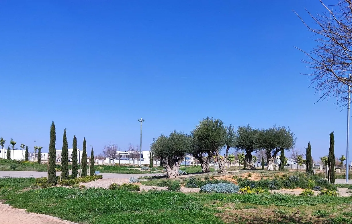 2 bedroom penthouse for sale - Bentley Hurst