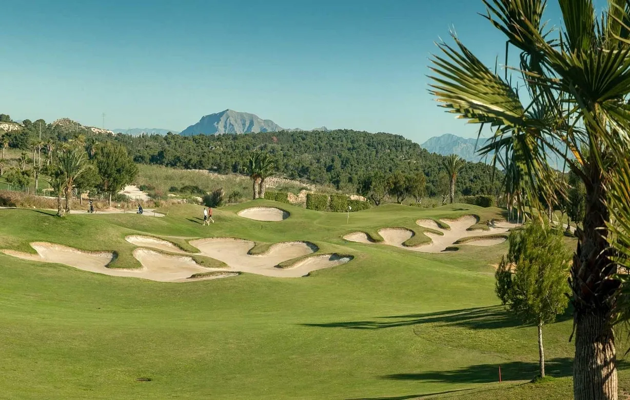 3 bedroom townhouse for sale - Bentley Hurst