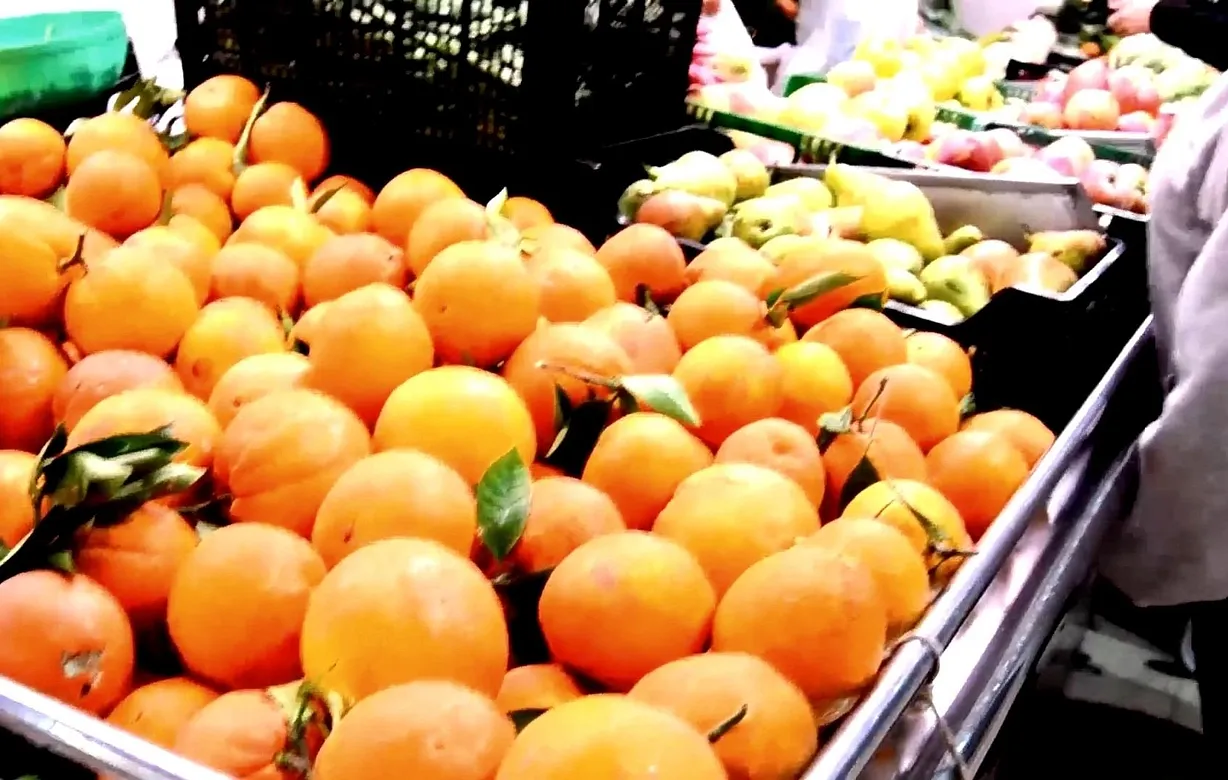 apartment for sale - Bentley Hurst