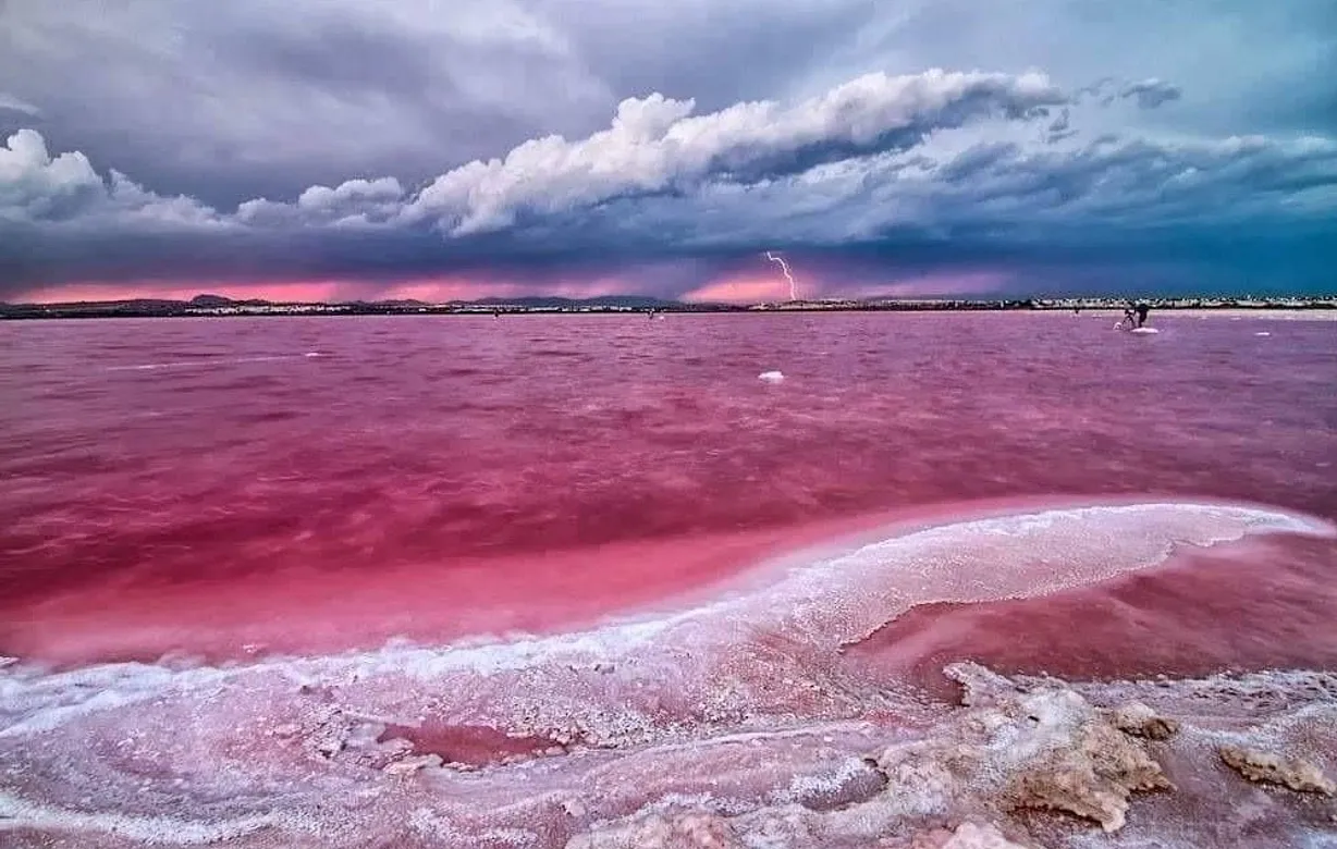 2 bedroom apartment for sale - Bentley Hurst