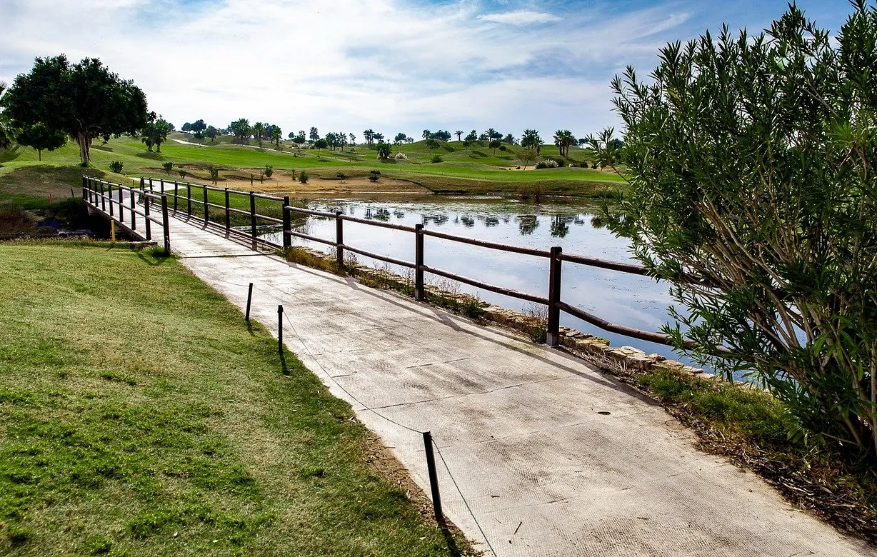 2 bedroom bungalow for sale - Bentley Hurst