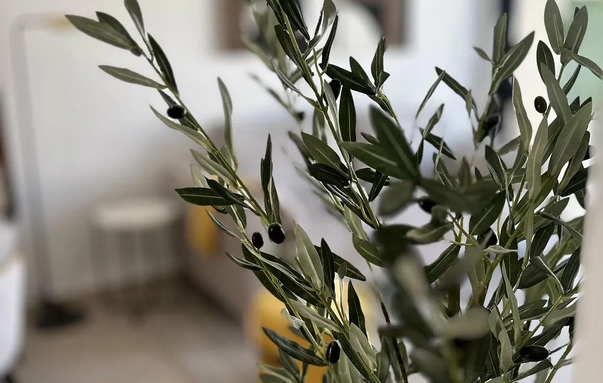 3 bedroom bungalow for sale - Bentley Hurst