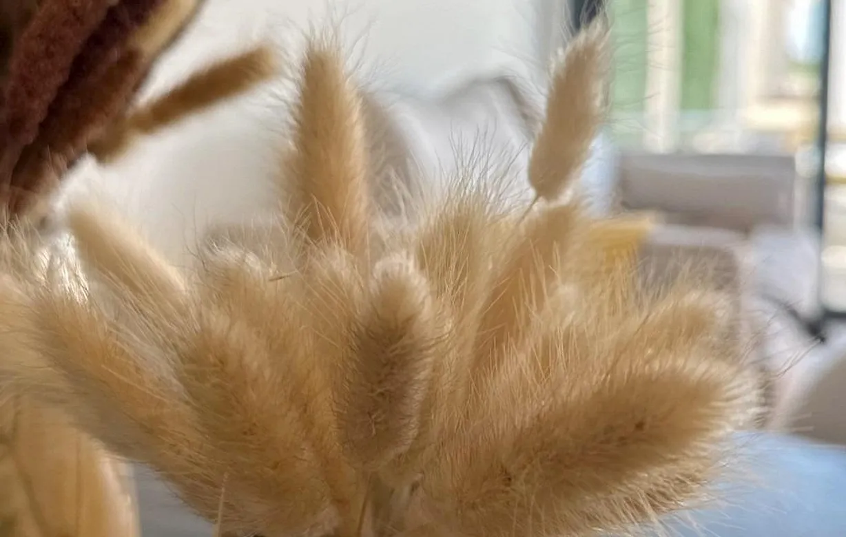 3 bedroom bungalow for sale - Bentley Hurst