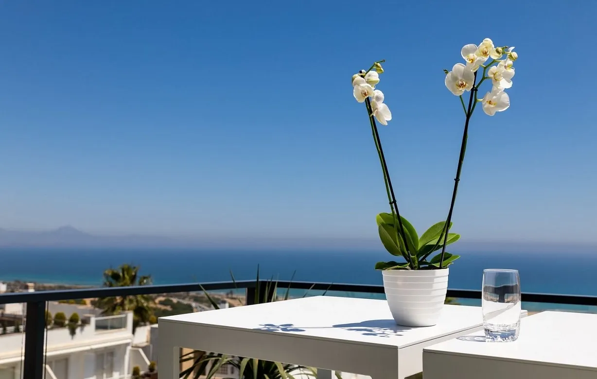 3 bedroom apartment for sale - Bentley Hurst