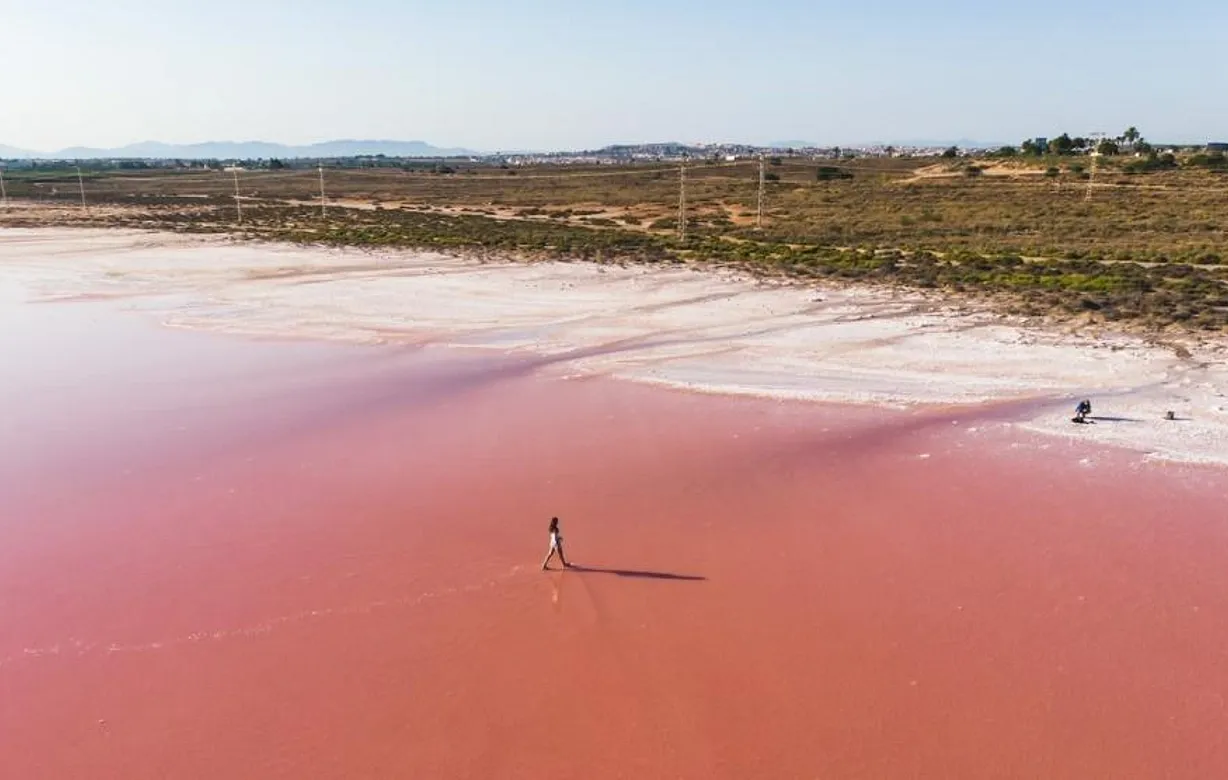 3 bedroom apartment for sale - Bentley Hurst