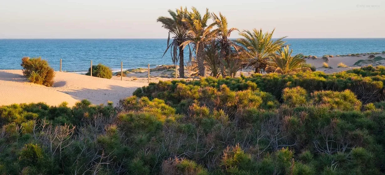 2 bedroom apartment for sale - Bentley Hurst